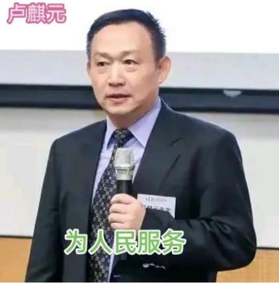 卢麒元这词戳到痛处了！他把金融圈一批身居要职却替外人算账的人叫"金融洋奴"，嘴上