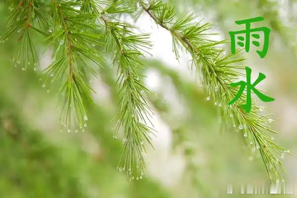 【雨水节气养生四要点】今天是雨水节气，雨水节气养生四大要点包括疏肝理气、护脾祛湿