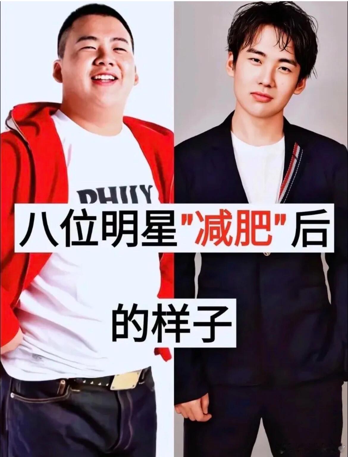 明星减肥前对比，原来明星胖了也不好看啊！