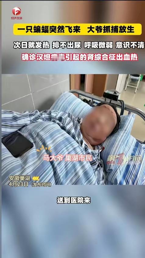 “悲剧还是发生了！”近日，安徽巢湖，一位大爷发现家中进了只蝙蝠，他伸手就去抓，可