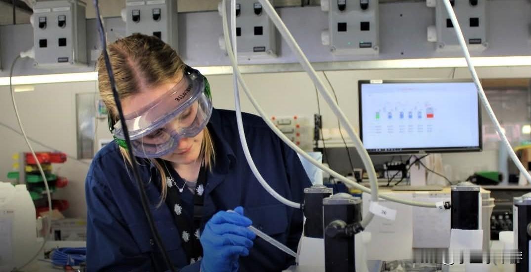 澳大利亚正在悉尼建设首个国有粘土型稀土加工设施，预计明年可投入使用。澳大利