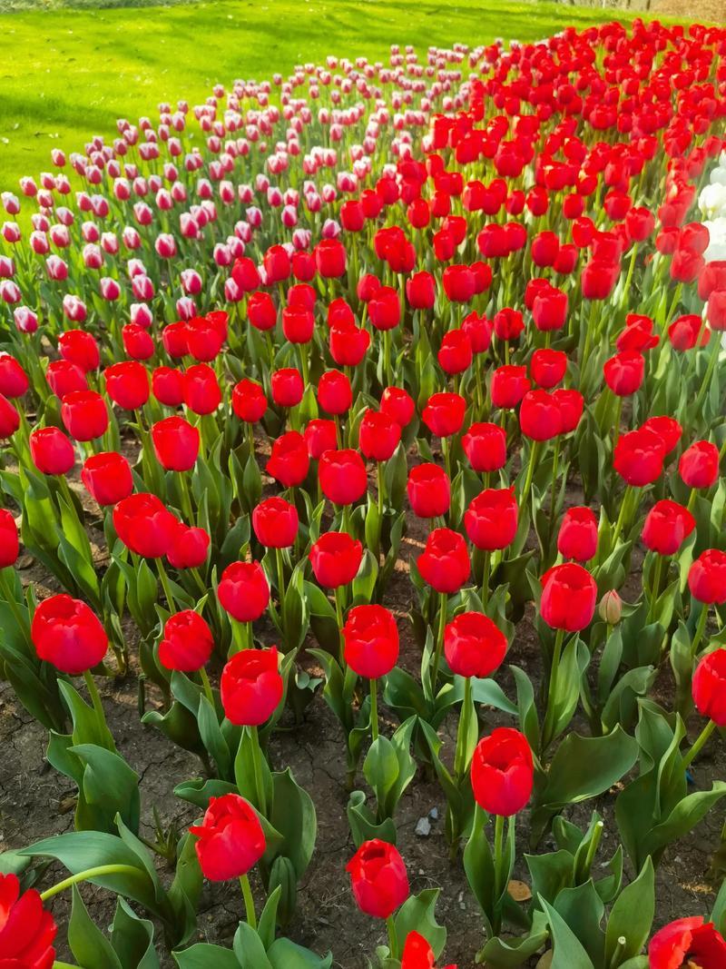 人，别把最冲的脾气，留给家人。在外温和处事，归家却急躁易怒，这是很多人藏不住的