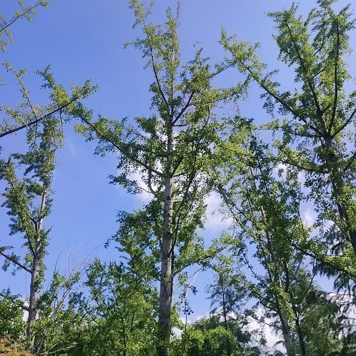 你喜欢一个人，那你就主动一点，发消息，热情一点去靠近他，如果他也主动靠近你，那说