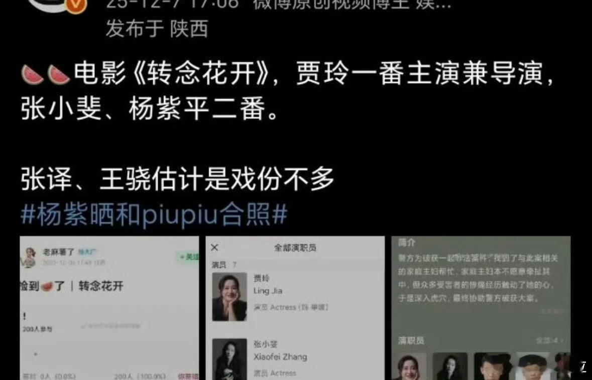 先不说平二番是什么杨紫肯定压不过张小斐的呀