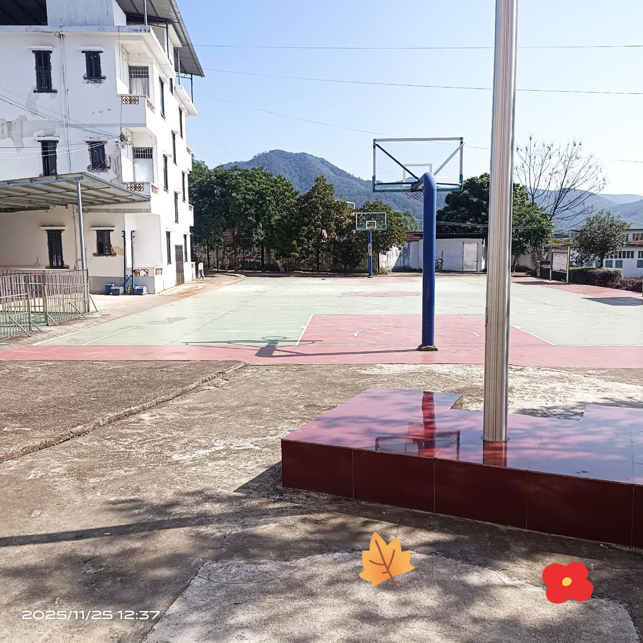 2026年中央一号文件为乡村教育划出路线，明确提出稳慎优化农村中小学校与幼儿园布