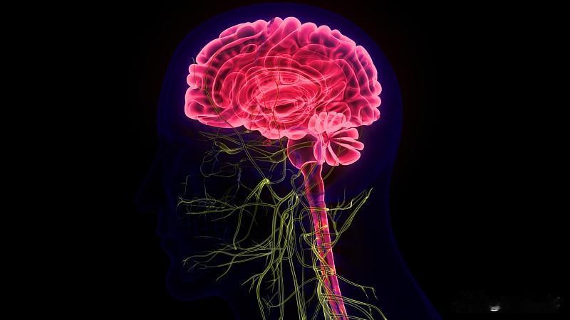 之前身边有朋友连续一个月失眠、心慌，跑了三次心内科查不出器质性问题，最后被确诊植