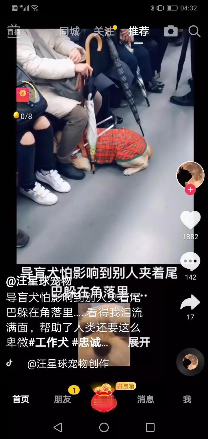 这样的一幕令人心酸！心痛！这是中国的导盲犬，它在工作，在帮助人类，但它又担心影响