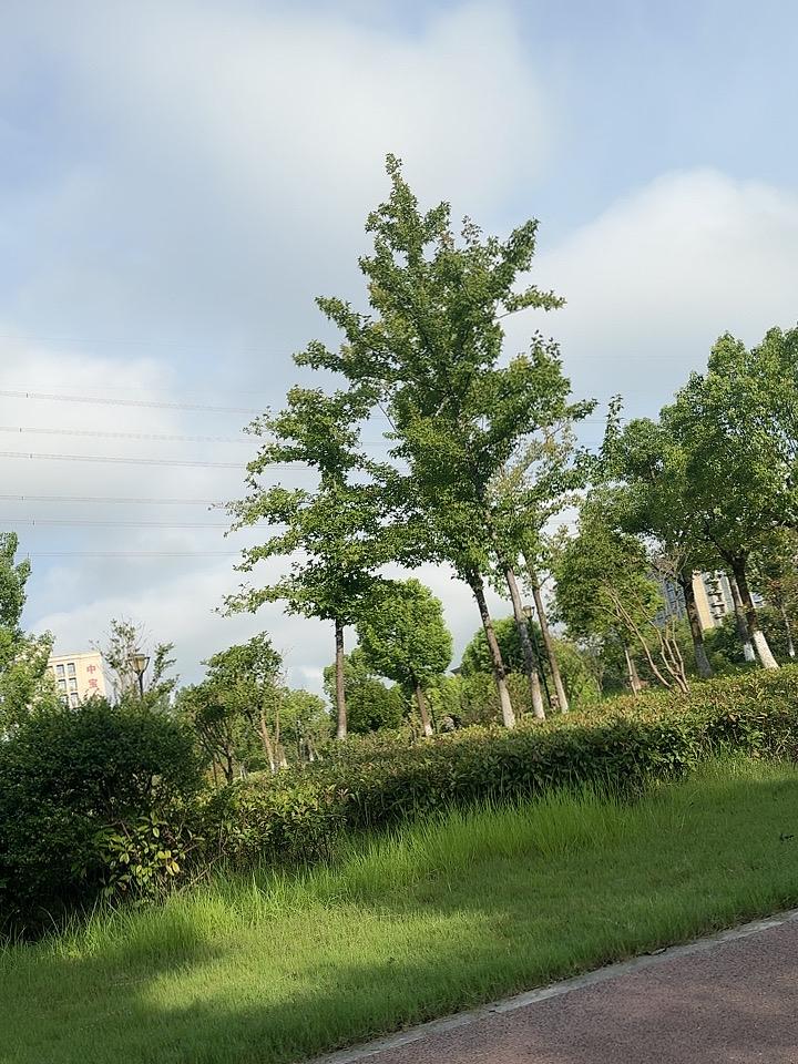 中年人的顶级养生：心不慌，比吃啥补药都强人到中年，谁不是一边硬撑，一边崩溃？