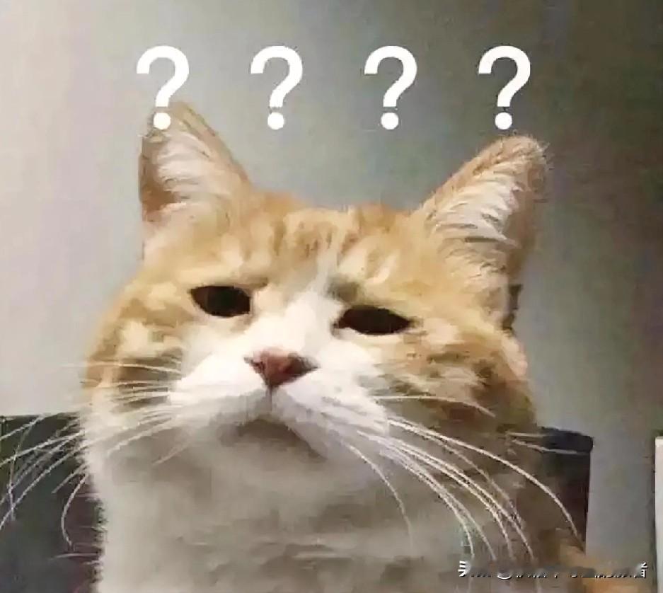 世界之大无奇不有看到这样一个新闻“巴西女子产下双胞胎孩子父亲不同”，看到标题震