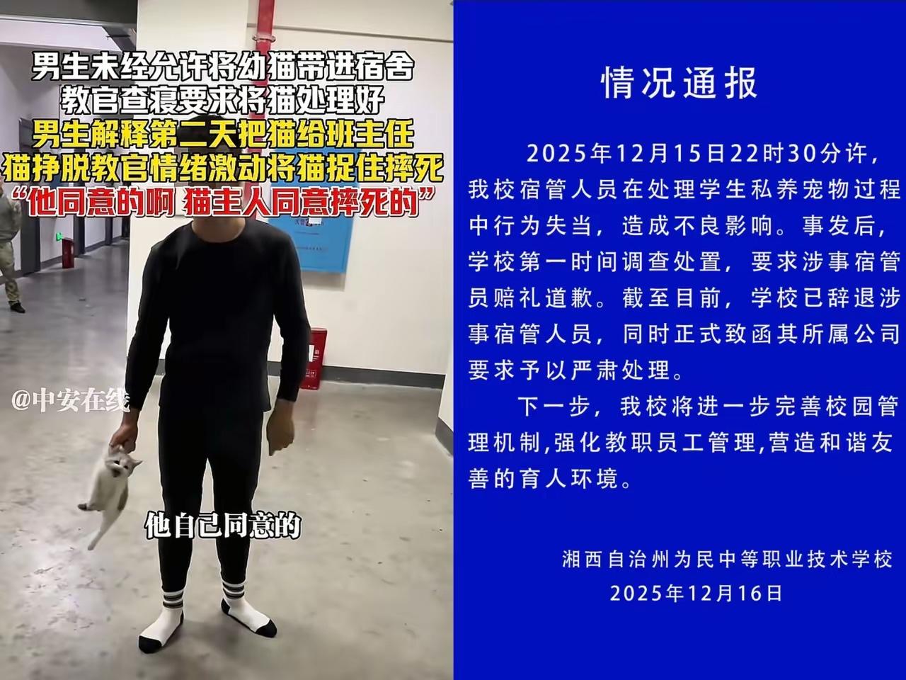 湘西摔猫教官（宿管）道歉了、也被辞退了，但大多数人心里堵得慌。教官错了吗？就像北