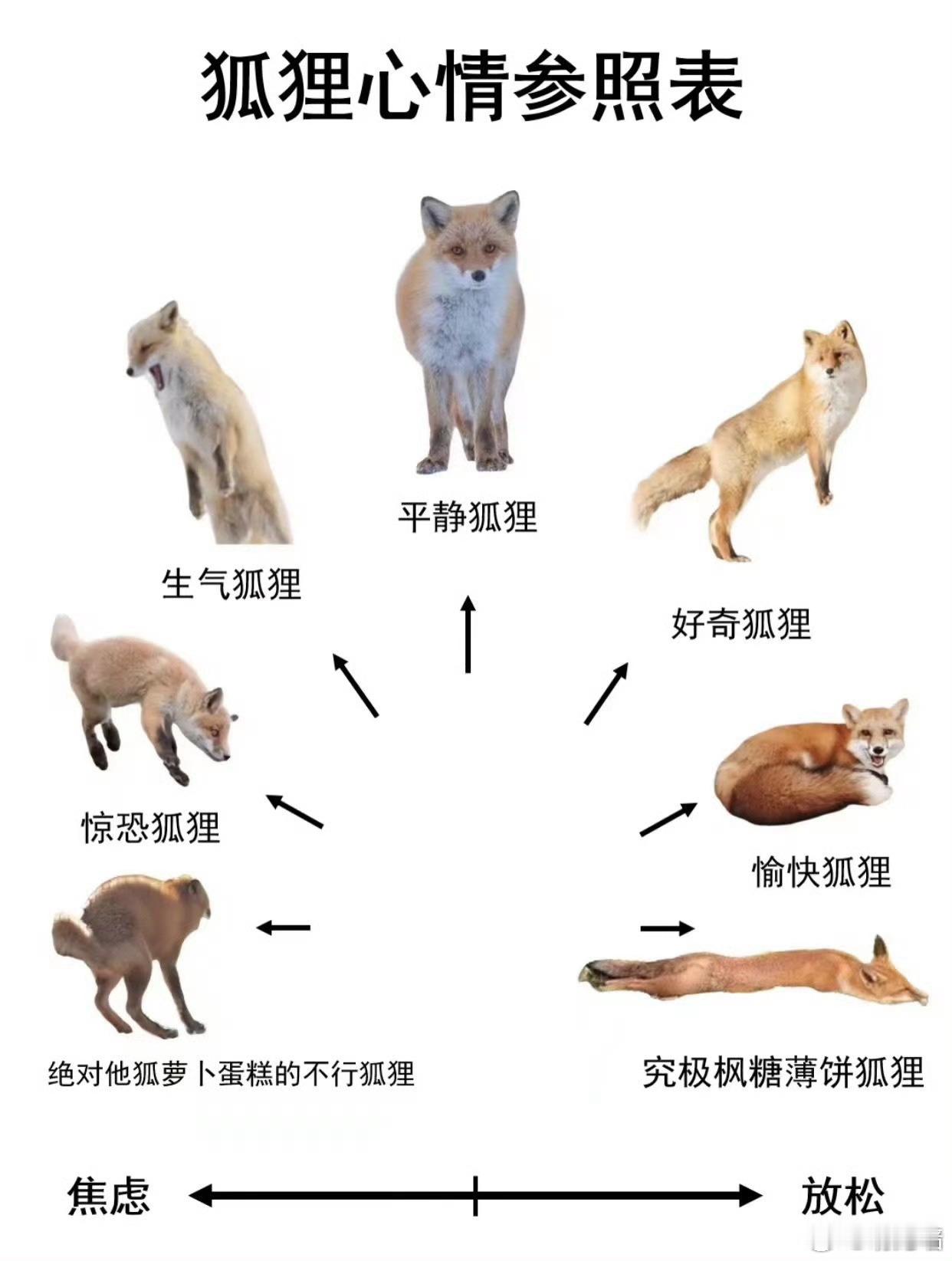 好萌这个