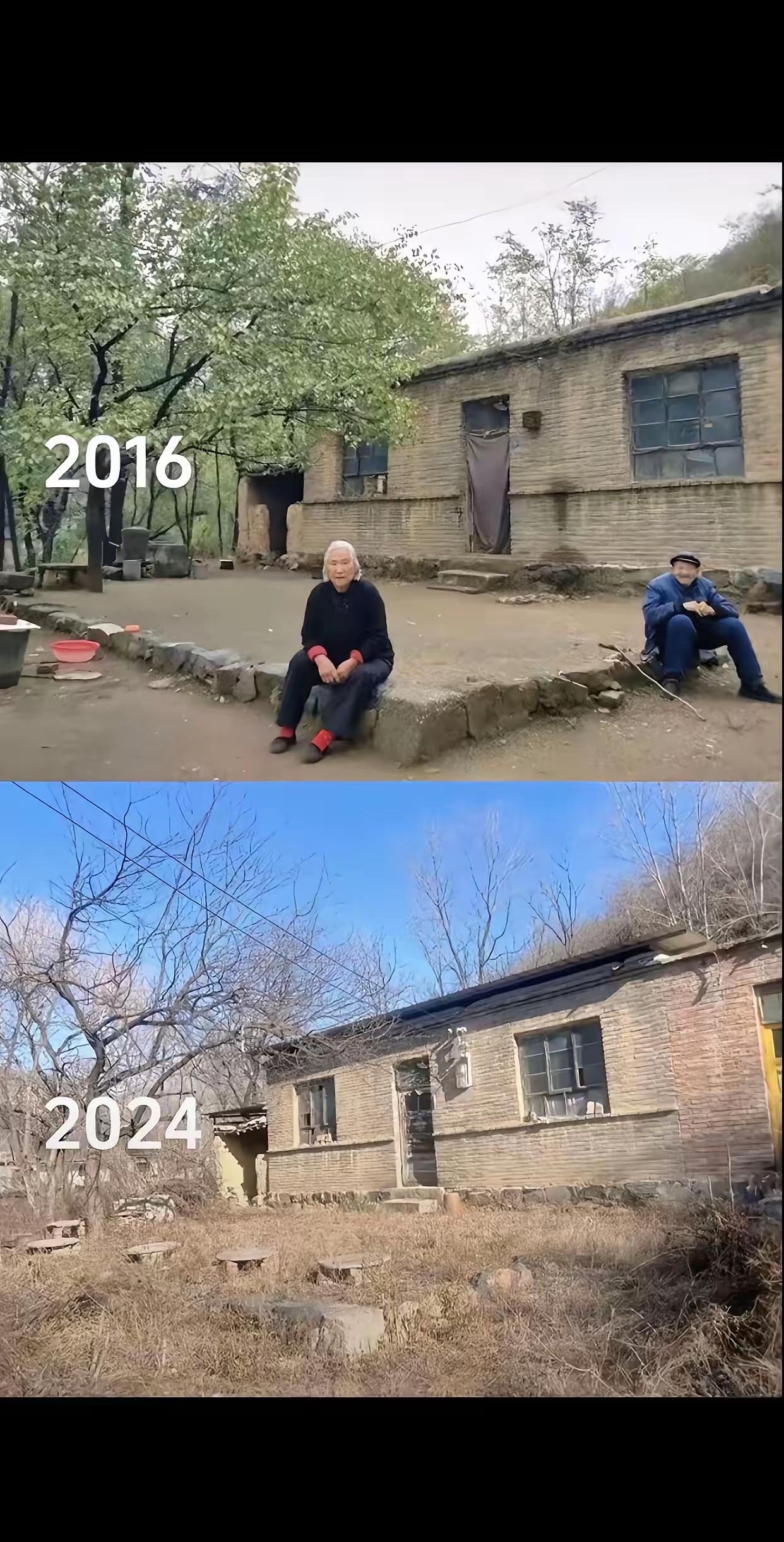 挺感慨的，人在的时候，杂草全无，人声鼎沸，当人不在的时候，杂草长的此人高，一片荒