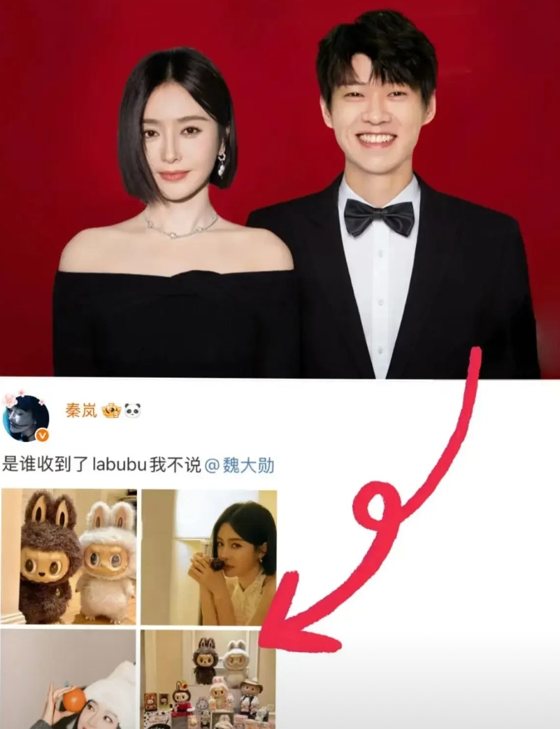 不理解秦岚都已经46岁了差不多到了快要绝经的年纪了，说真的以后生育也是一个难