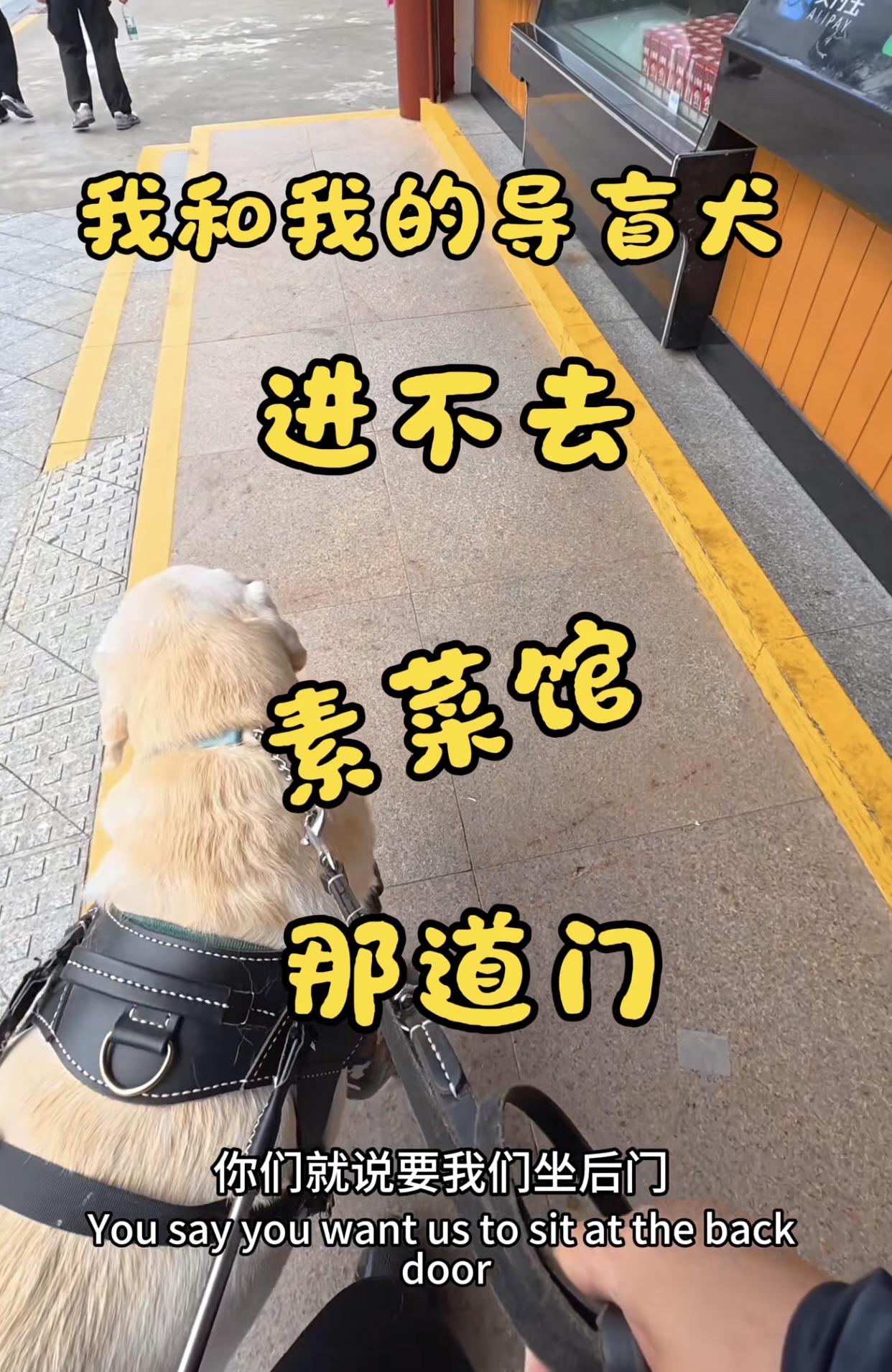 广东一位女盲人带导盲犬出门吃斋饭，餐厅担心影响其它顾客于是安排她们在后门或者门口