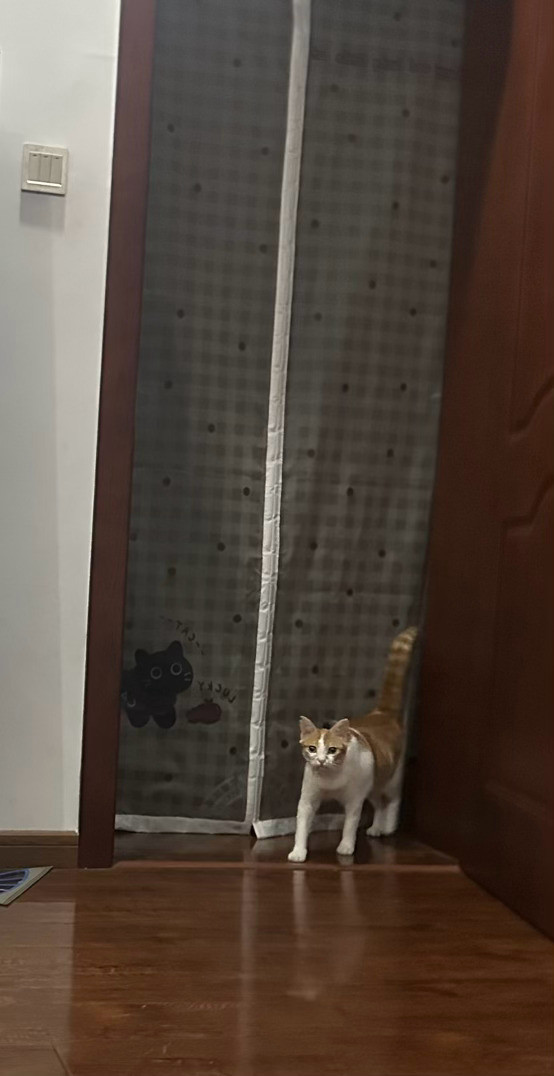 一脸严肃