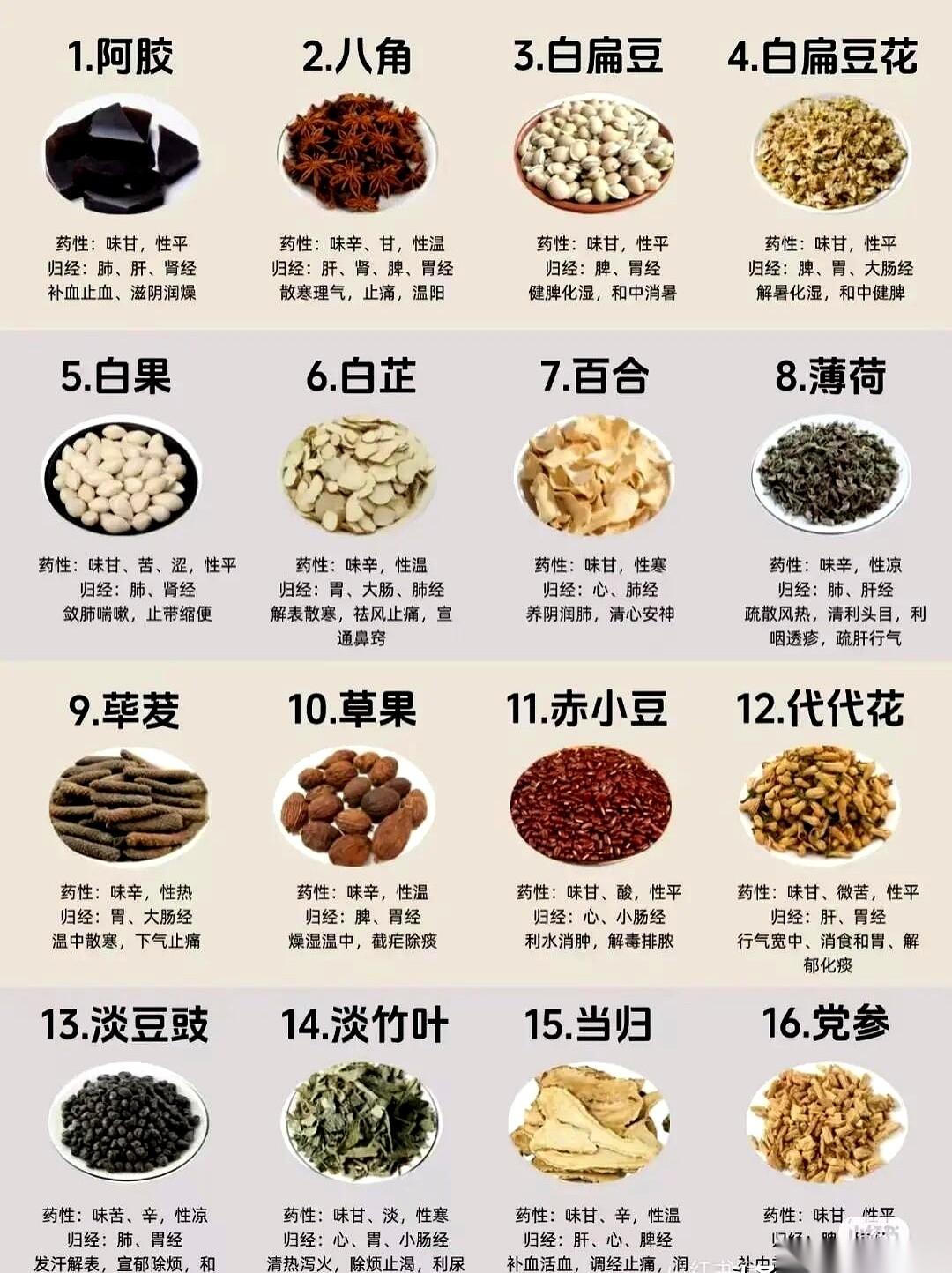 我有时候觉得，中国人的命，一半是靠这些瓶瓶罐罐里的草根树皮续着的。真的。你以为