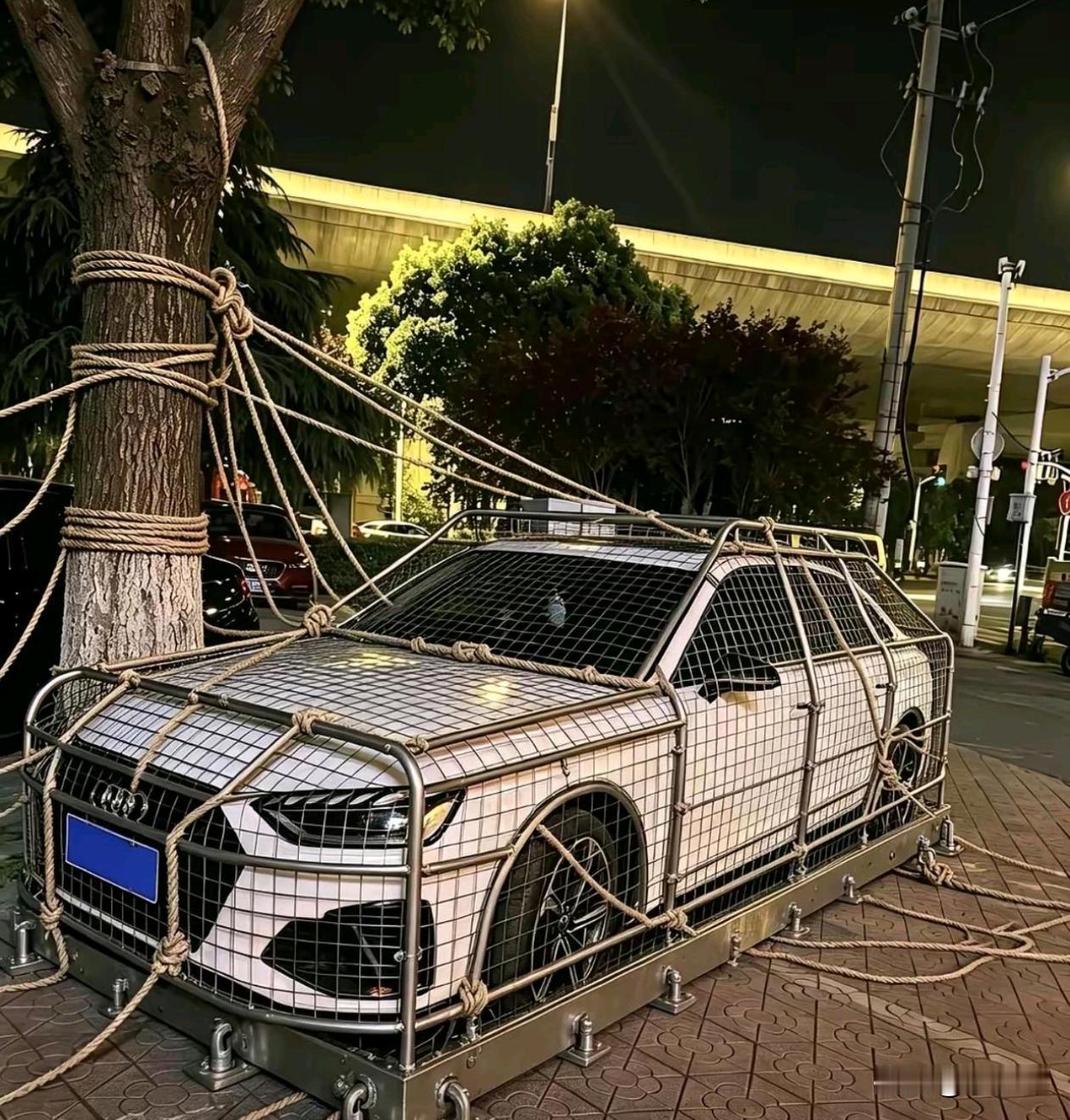 这样台风来了也不怕了