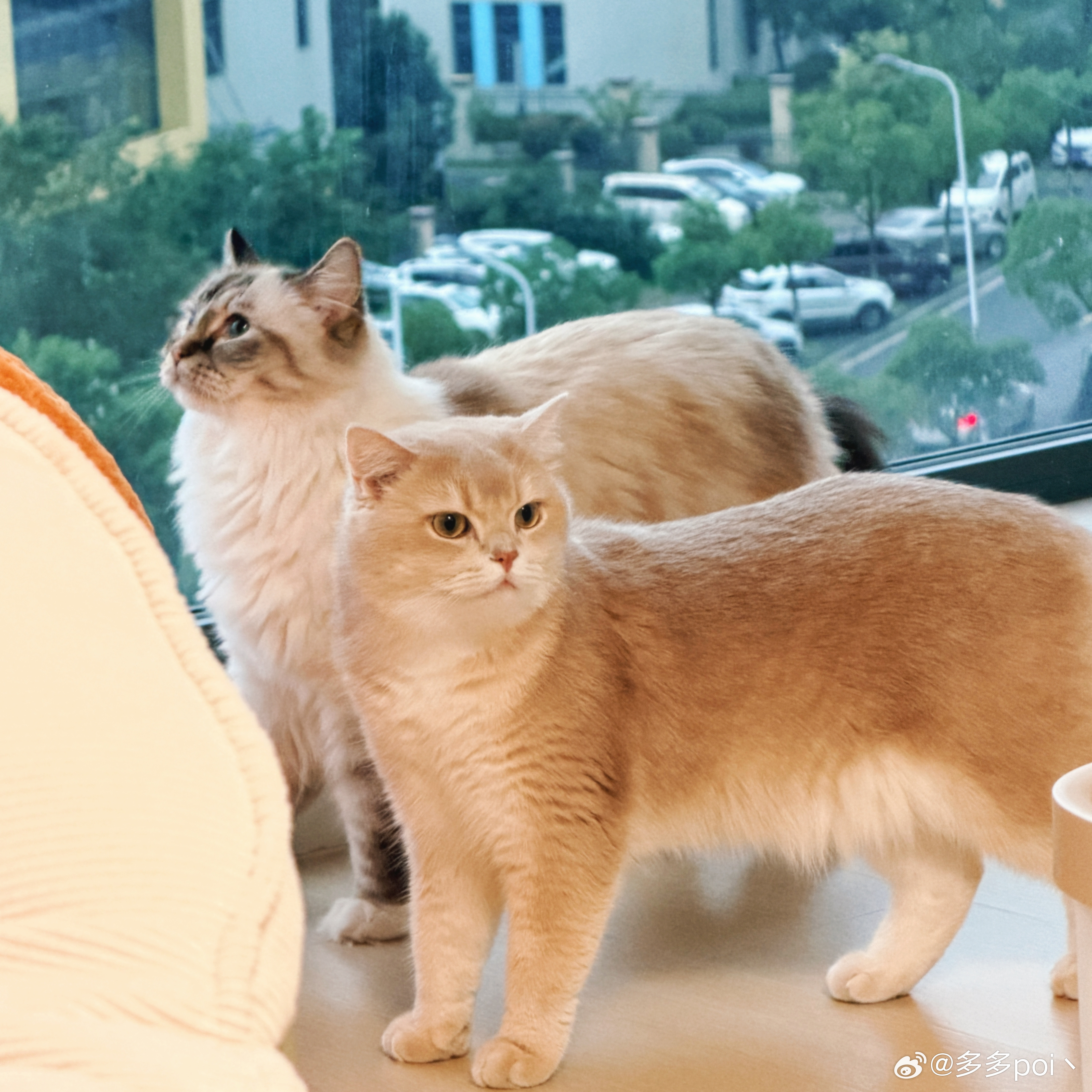 假期虽好，但使人长胖[哭哭]老实上班咯～​​​