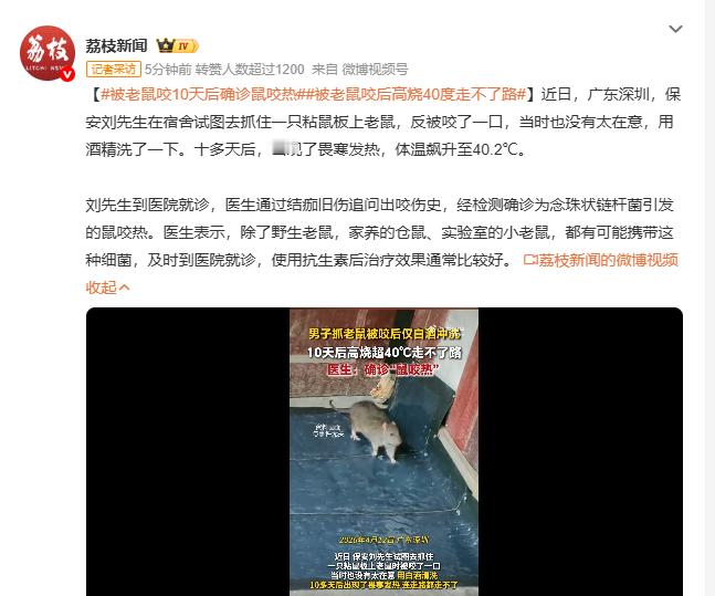 被老鼠咬10天后确诊鼠咬热广东深圳保安刘先生，宿舍抓粘鼠板老鼠反被咬，随意酒精
