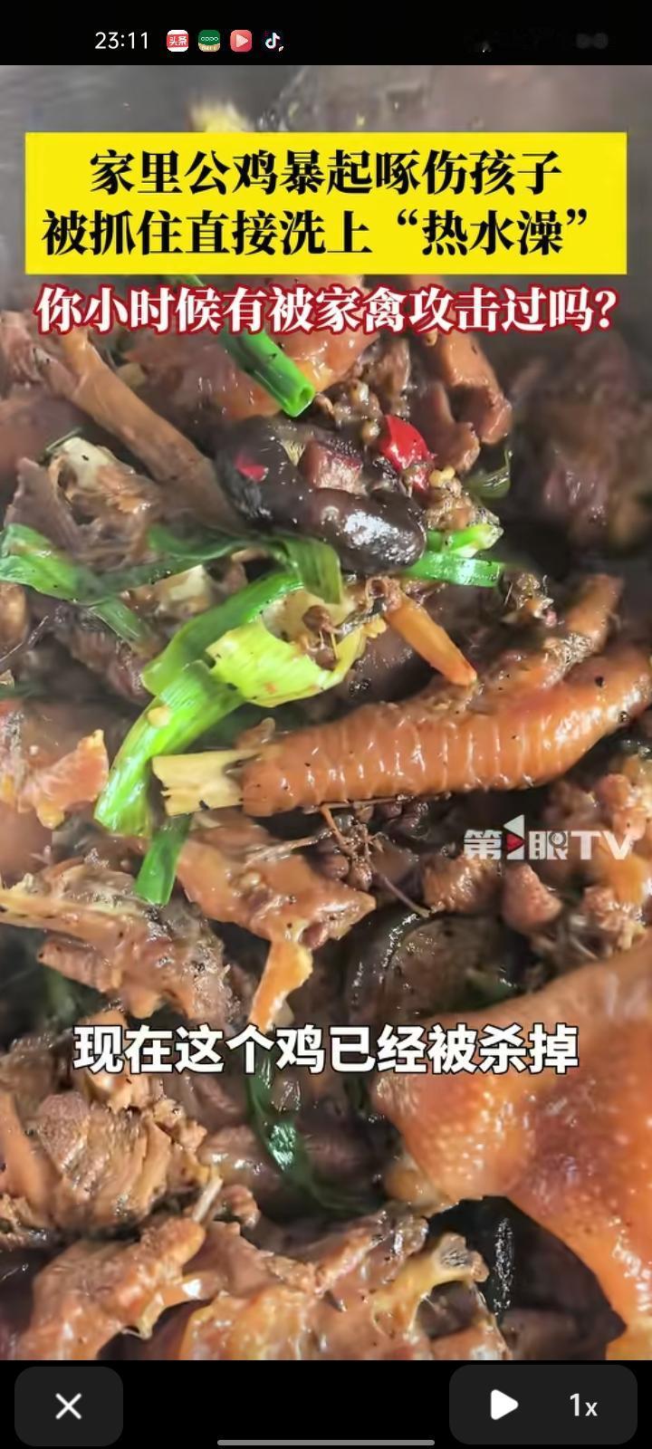 2月5日，江苏连云港。小孩姐在院子里玩耍时，伸腿赶大公鸡，不料反被公鸡啄倒大哭，