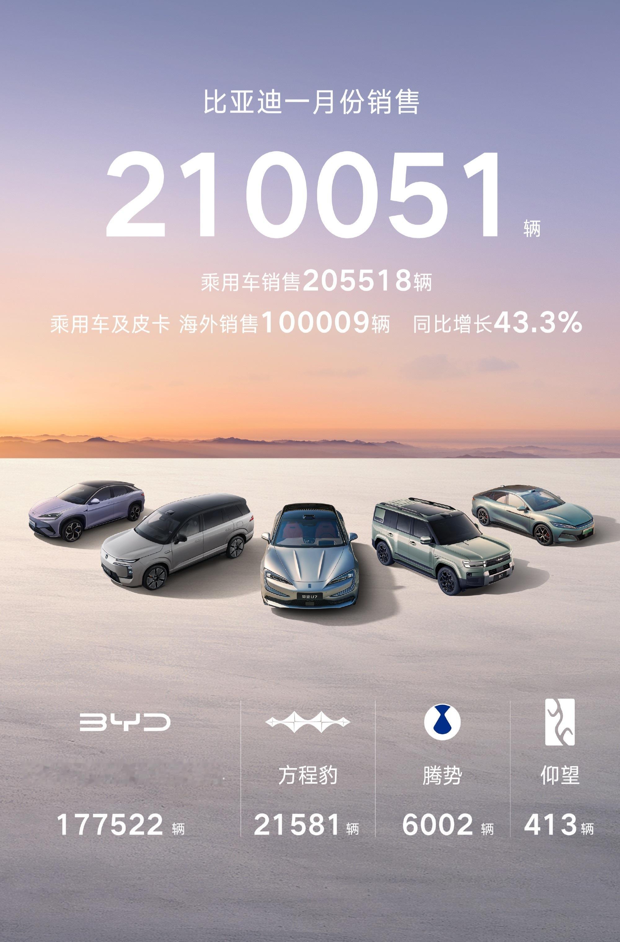 比亚迪1月销量确实一般，但方程豹同步增速很高，仰望也还可以。