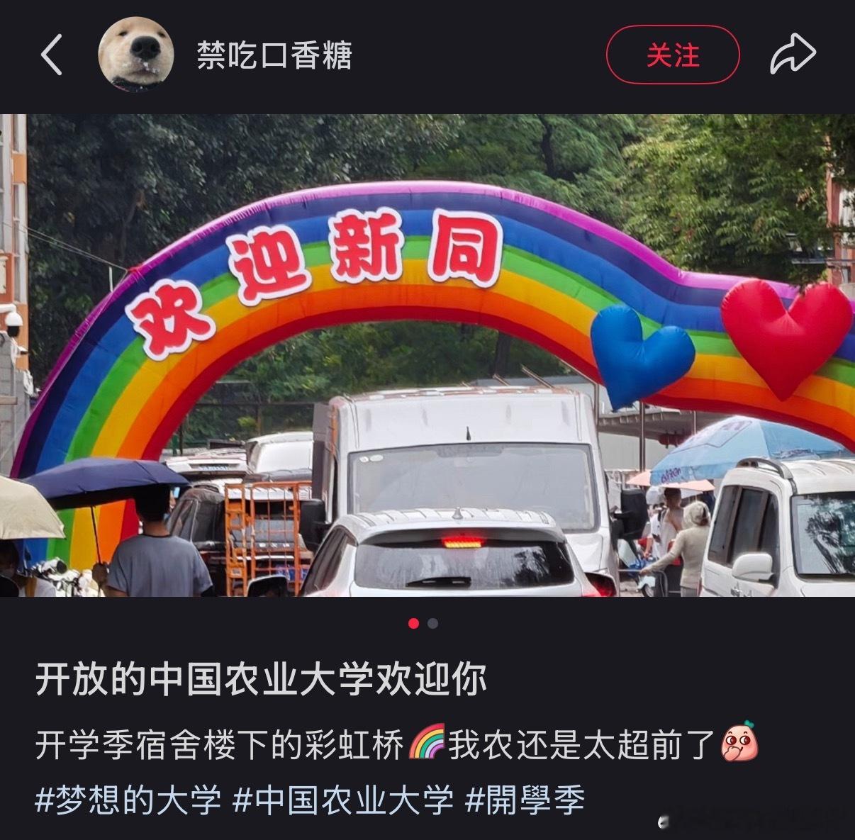 不学啦？​​​