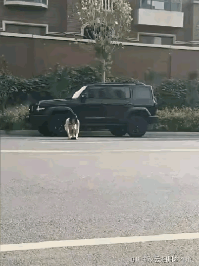 拍照就那么重要吗？给谁看？[笑着哭]
