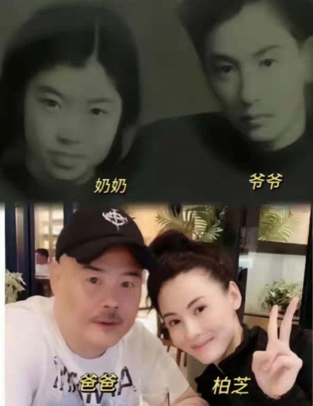 破案了，原来张柏芝长得像爷爷。