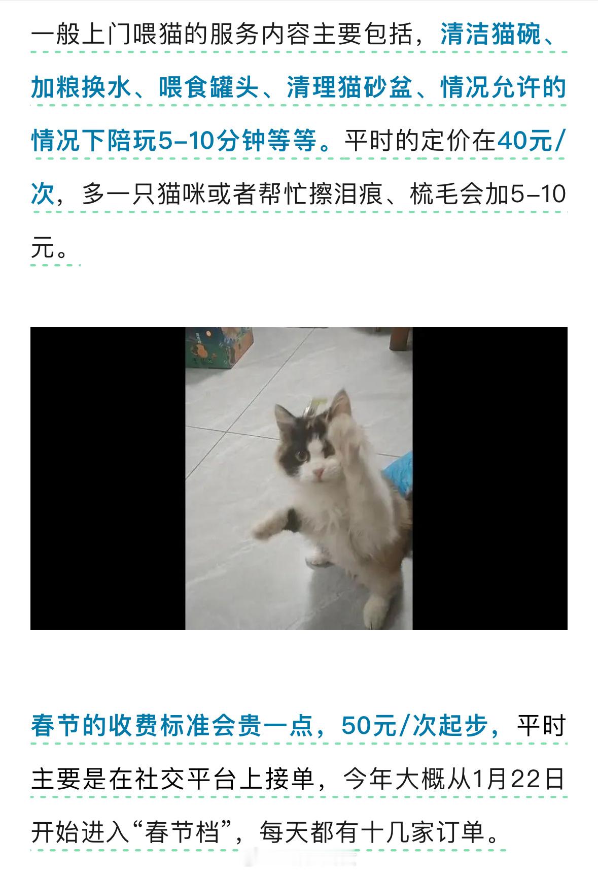 上门喂猫一小时没找到客户平时的定价在40元/次！春节等旺季能“10天赚1万多”[