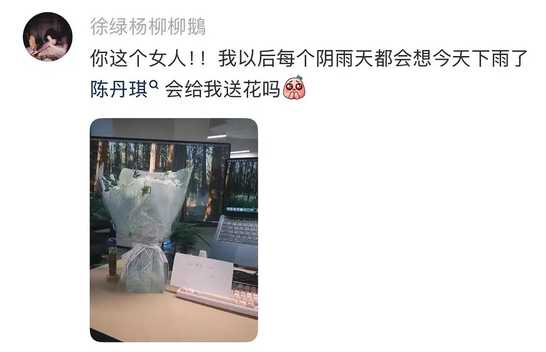 第五季｜柳柳恋商挺高的以后每一个阴雨天都会想你会不会给我送花我的妈呀真的很钓半熟