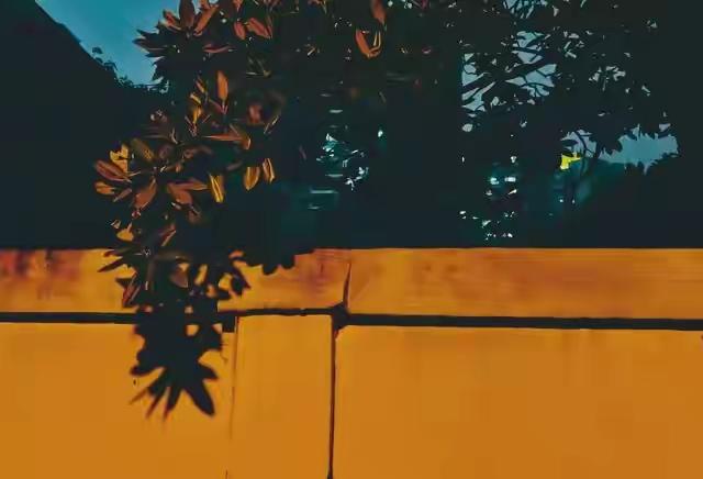 三种表现证明你们夫妻还能走下去，一个都没有，可以离婚了在婚姻的长河中，我们都