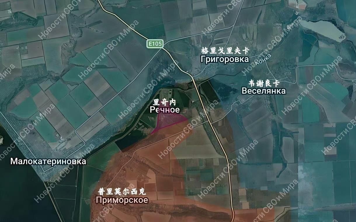 俄军解放里奇内！1月30日，俄军解放了扎波罗热正南的里奇内，基本肃清的水库南部