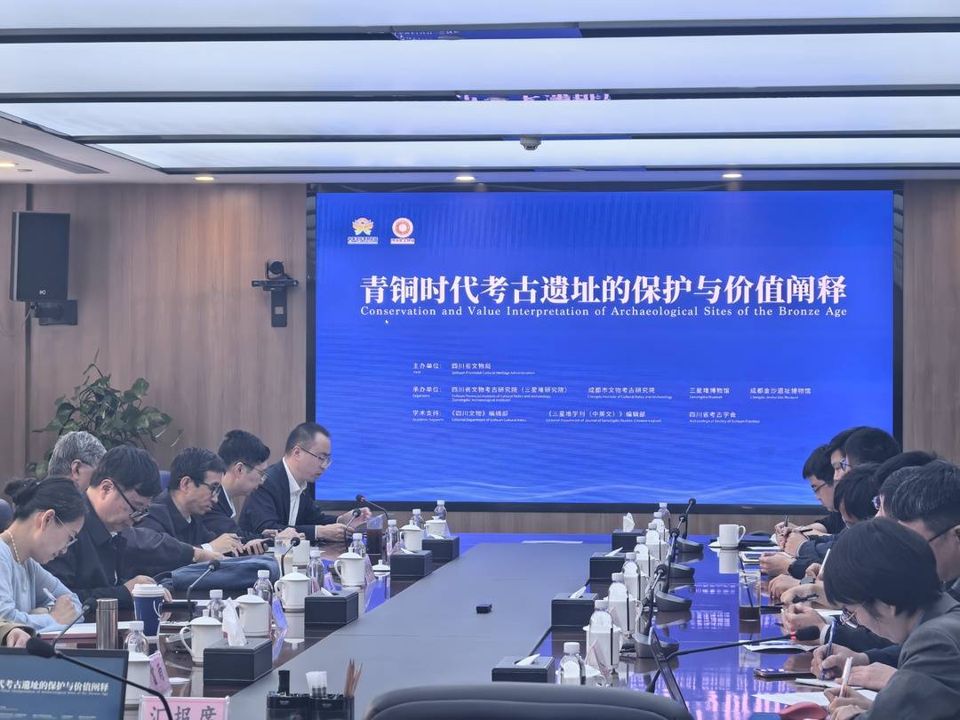 中外专家齐聚, 共探青铜遗址保护与阐释