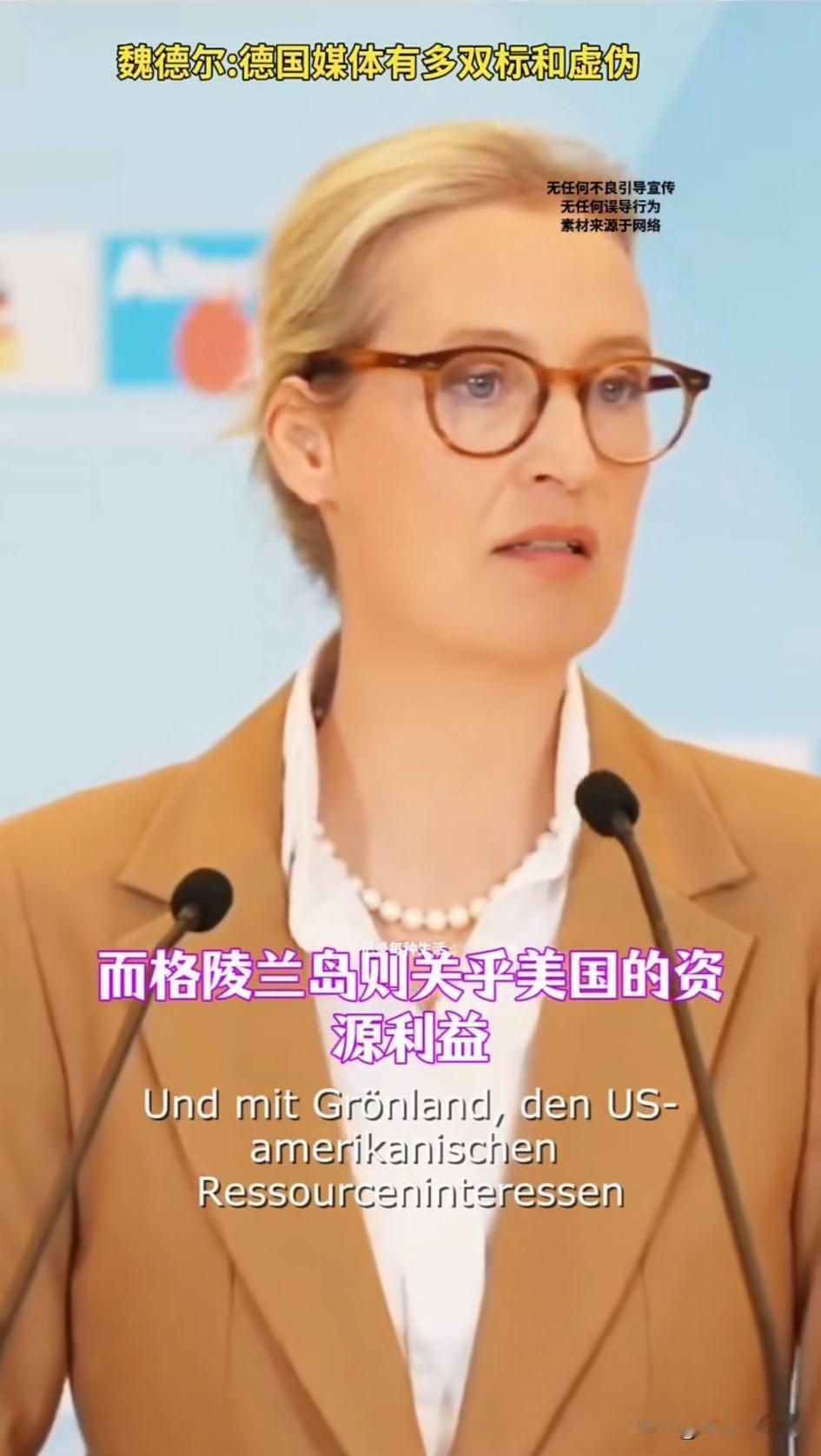 1月18日，魏德尔猛烈抨击了北约的欧洲成员国。她指出，在格陵兰岛问题上，北约陷入