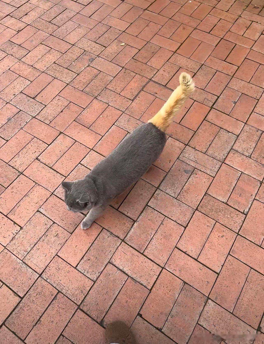 这不科学！！！