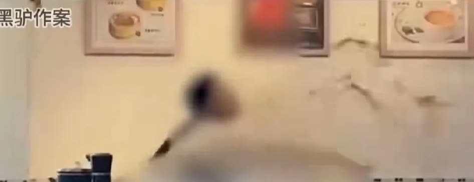 女子吃烧烤遇“一折优惠”后报警：是消费纠纷还是“薅羊毛”过头？近日，山西