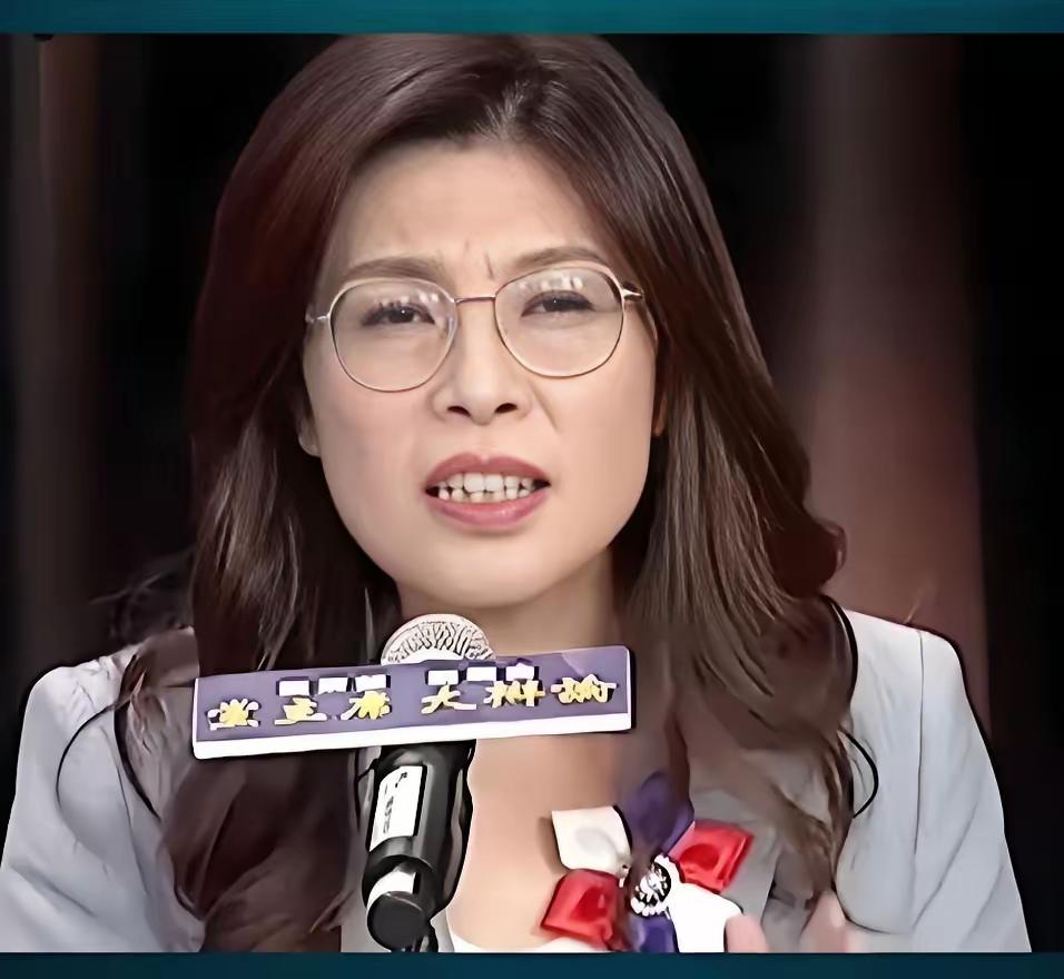 重磅信号！郑丽文呼吁坚持一中，反对“台独”谋和平郑丽文这次发声，够直接！她喊