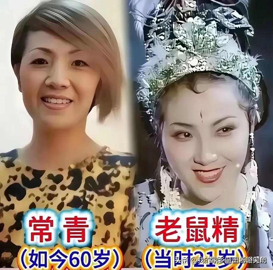 提起86版西游记，里面的女角色个个惊艳了一代人。邱佩宁演嫦娥的时候才28岁，如