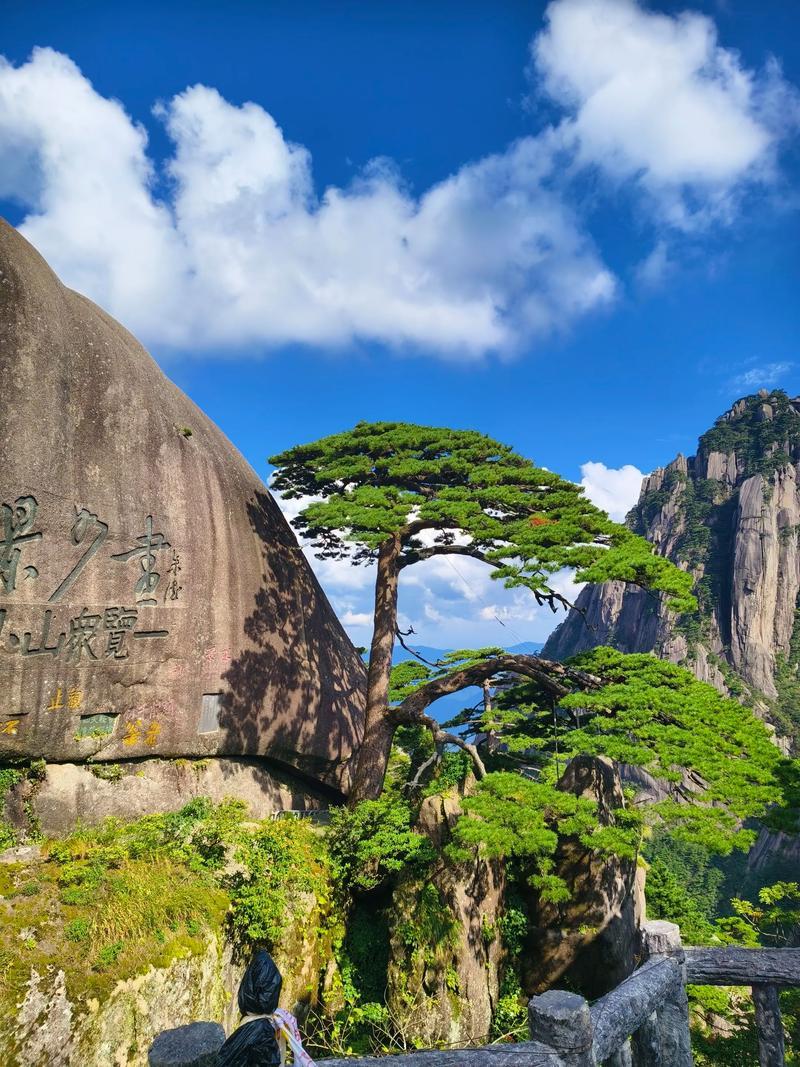 黄山和泰山是我国最有名的两座名山，两座山比较来看：从自然景色来说，黄山景色远远