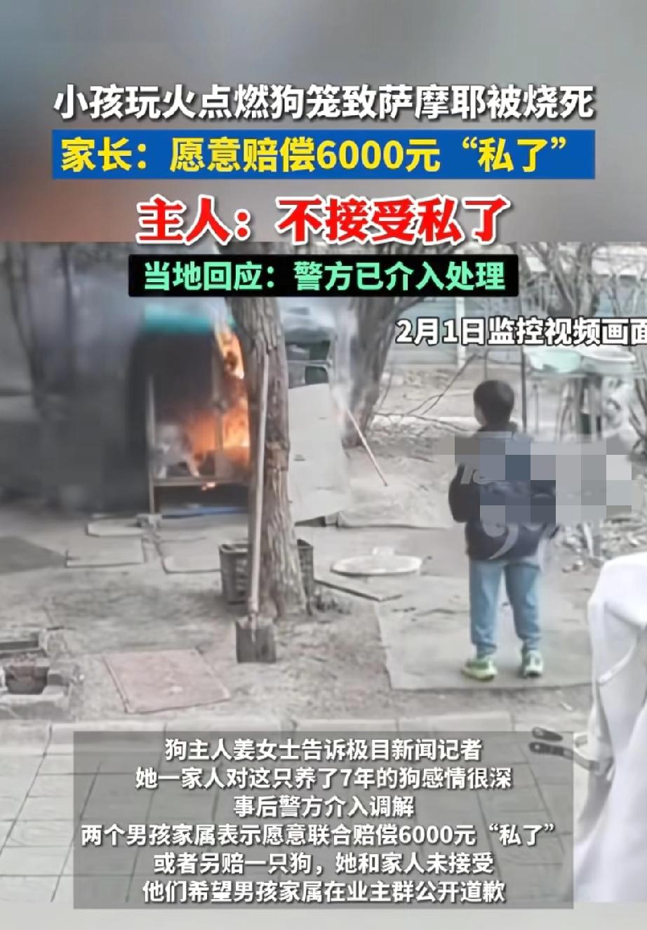 一般人都会对生命保持敬畏！哪怕是只虫子都不愿意踩！更别说眼睁睁看着狗狗哀嚎，还嬉