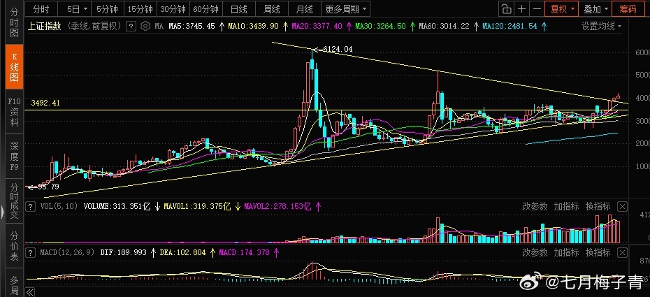 还是那些图七月梅子青