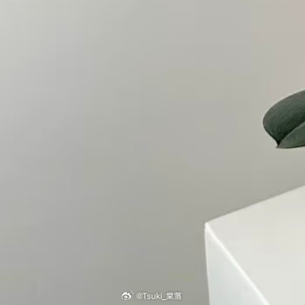 蝴蝶兰种植方法：1.光照柔和：蝴蝶兰喜明亮的散射光，忌强光直射。适合放在朝东或