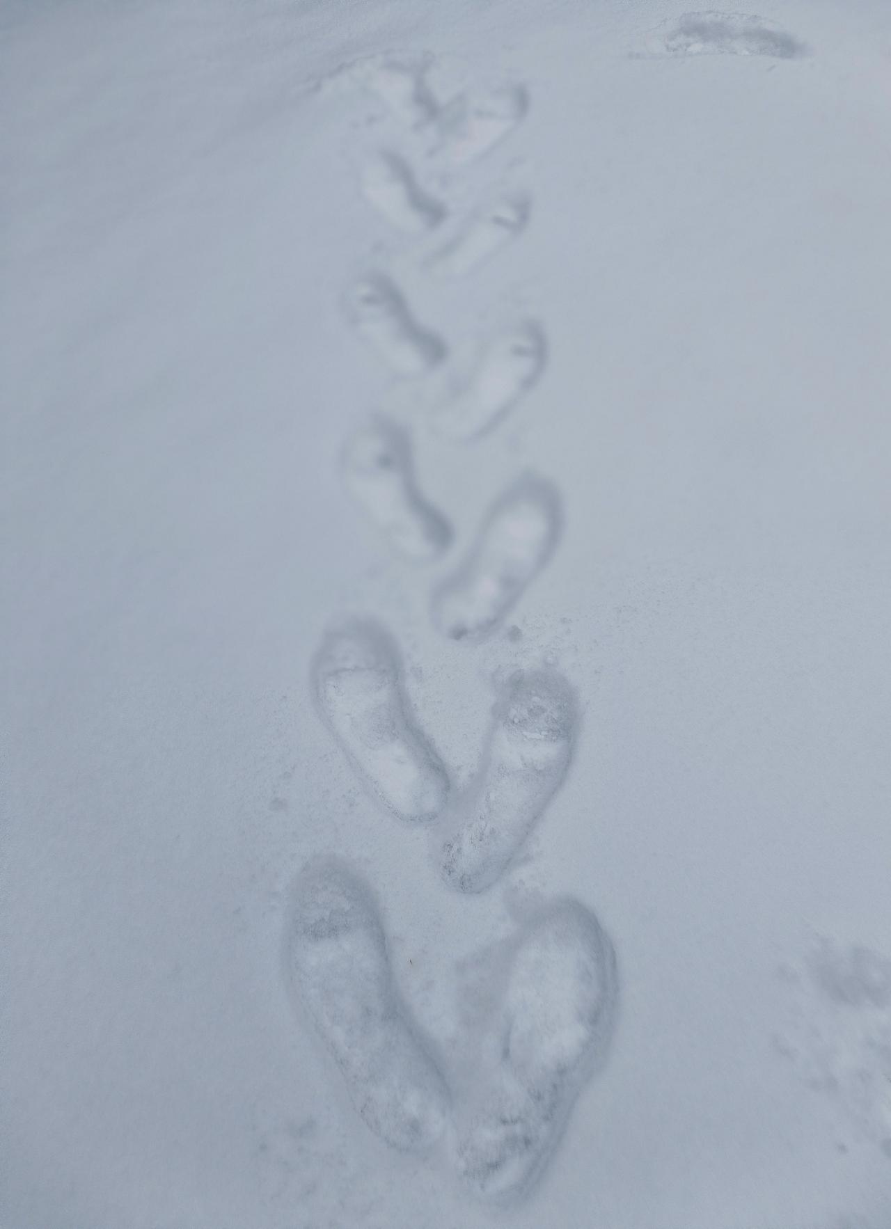 今天，一些抱怨南京扫雪行动有些慢，觉得是应对计划准备不足，造成早晨，马路上有积雪