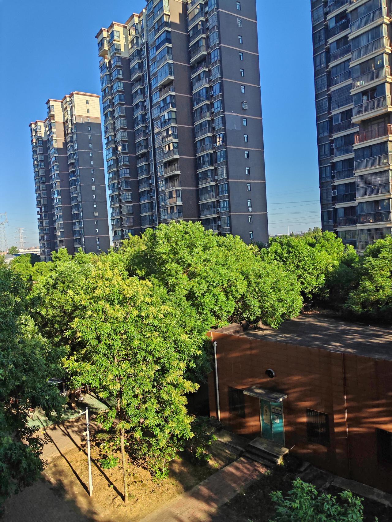8月26日，武汉晴天，最高气温37度，最低气温27度，东北风2级，湿度83%，空