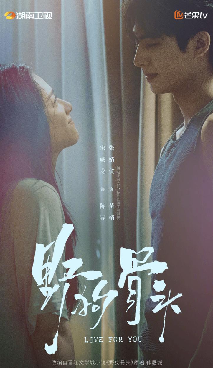 《野狗骨头》第1集审计师苗靖时隔六年坐大巴回到小城藤城，老同学骑车接她，随口提