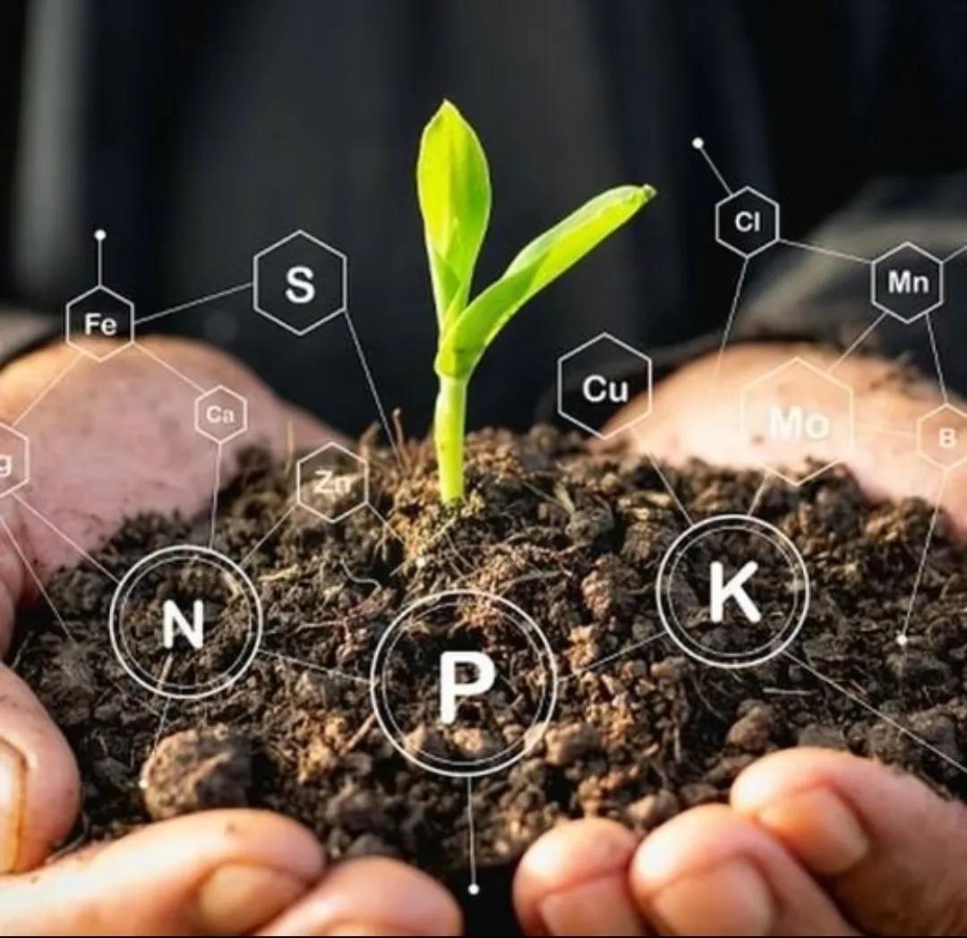 印度这变脸速度，不去演川剧真的可惜了。3月12号那天姿态