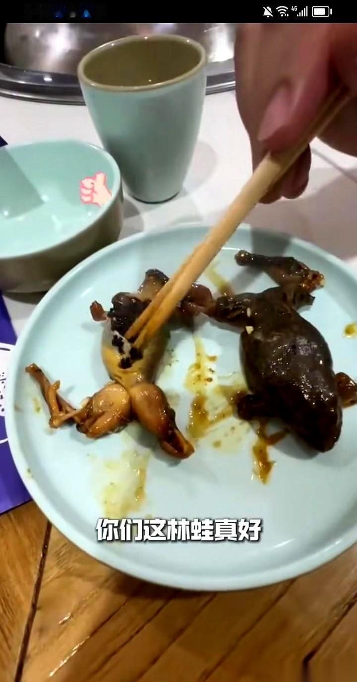 讲真，当阎鹤祥他们那一大盘子牛蛙端上来的时候，我整个人是有点懵的。开着房车，带