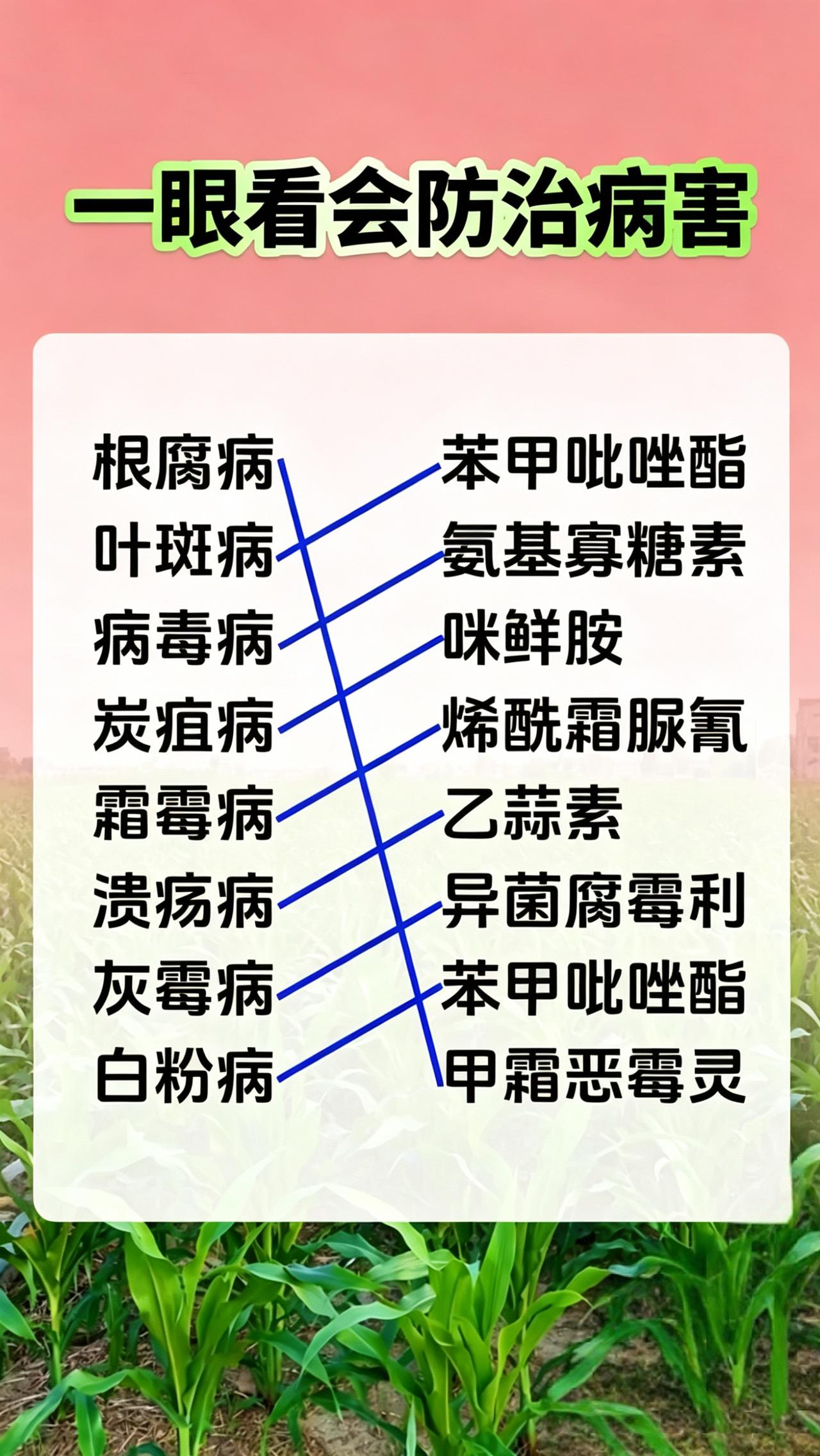 农业种植病害防治杀菌剂农资经销