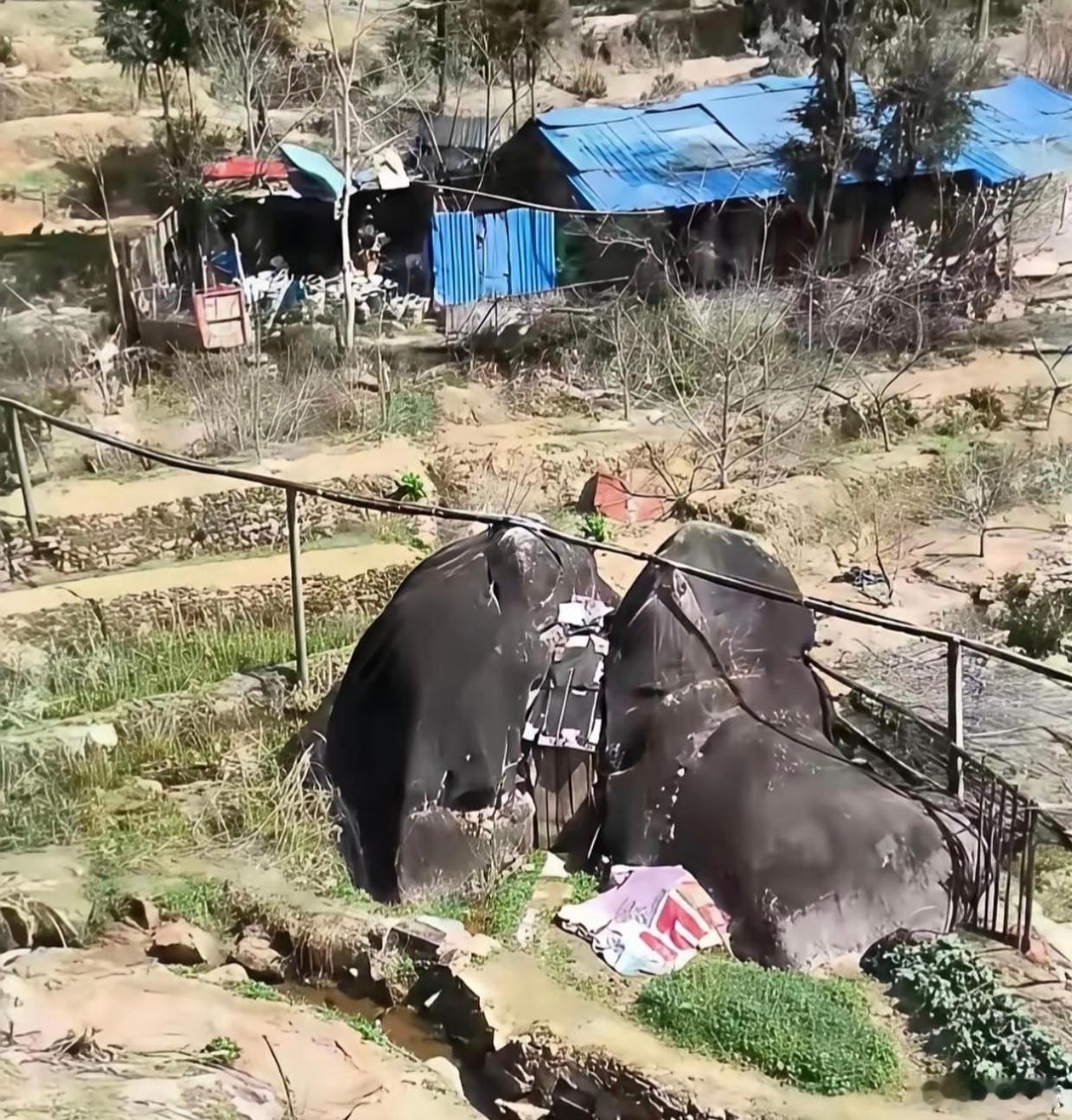这是一座卫生间，位置选得不错吧！