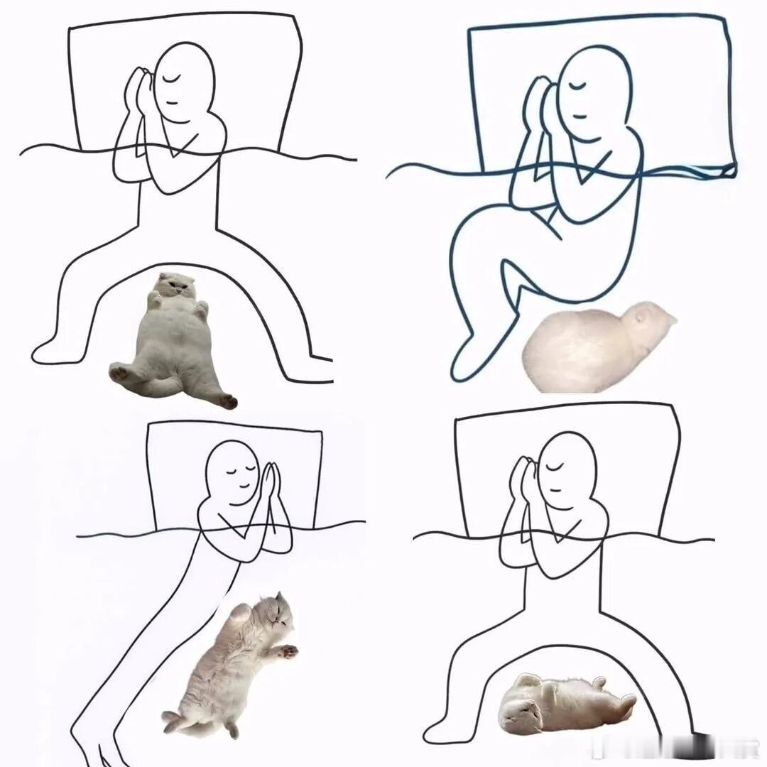 你们是哪种睡姿宠物卖萌中心​​​